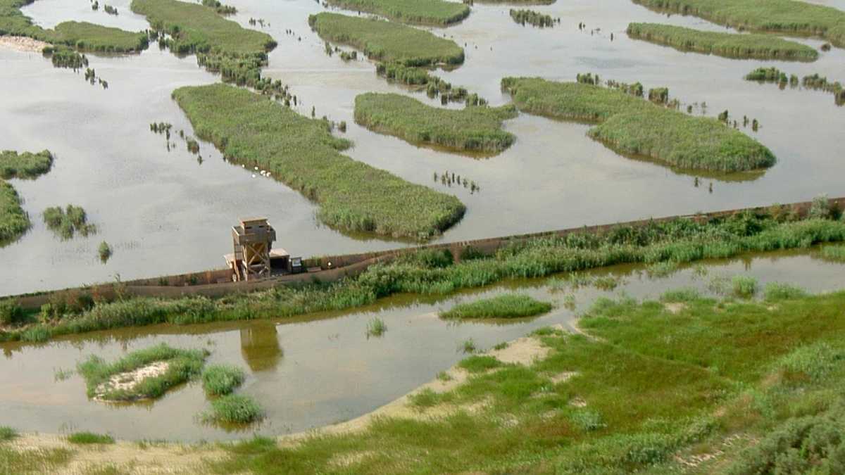 Impatto del turismo sull’ecosistema di Vallevecchia Caorle